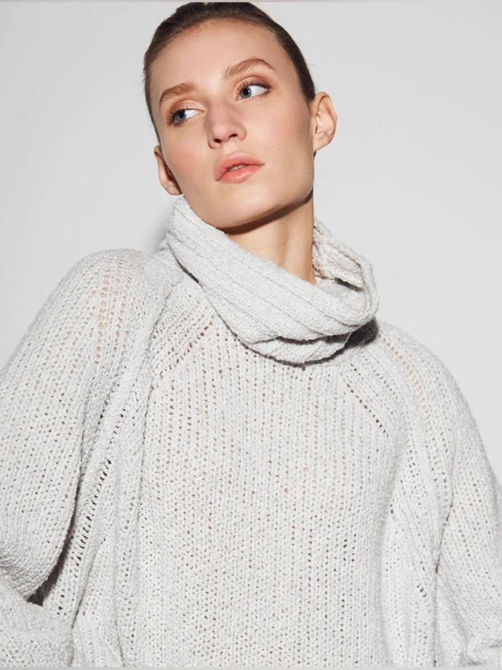 Brochu Walker Merino Wool Turtleneck Sweater Size XS Oversized Beige Gray Knit